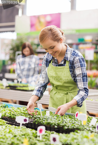 Image of happy woman taking care of seedling in greenhouse