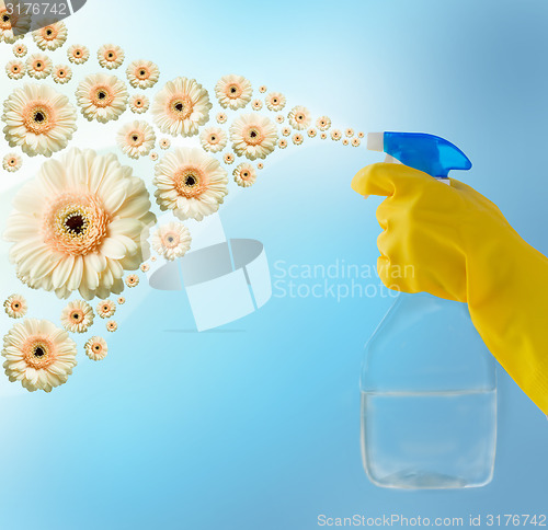 Image of close up of hand with cleanser spraying flowers