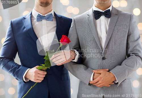 Image of close up of happy male gay couple holding hands