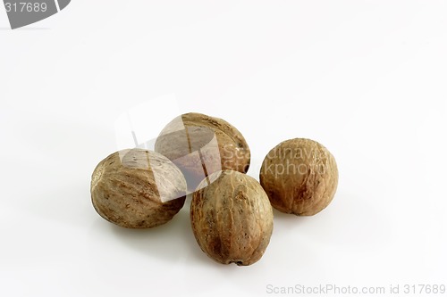 Image of Four Nutmegs