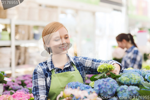 Image of happy woman taking care of flowers in greenhouse