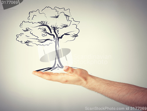 Image of man with small tree in his hand