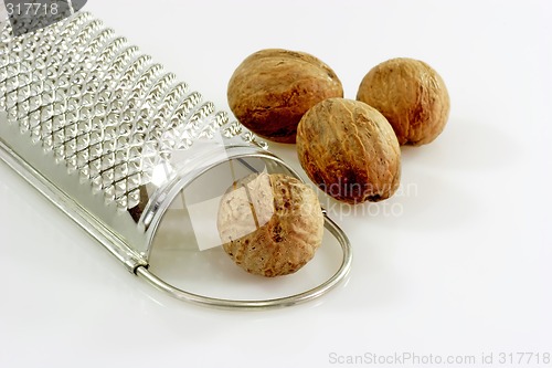 Image of Nutmegs