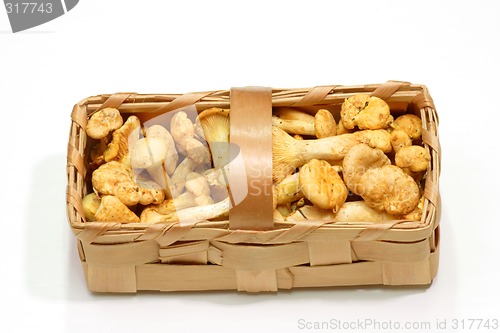 Image of Basket of Chanterelles