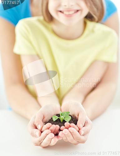 Image of close up of child and parent hands holding sprout