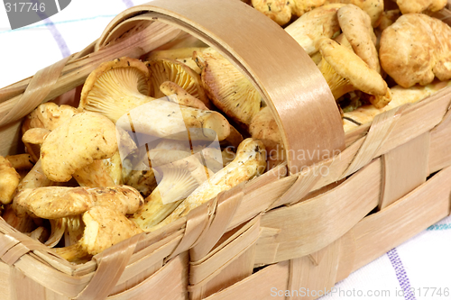 Image of Chanterelles