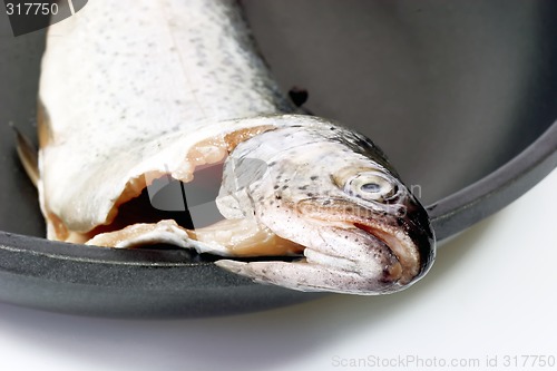 Image of Fish head