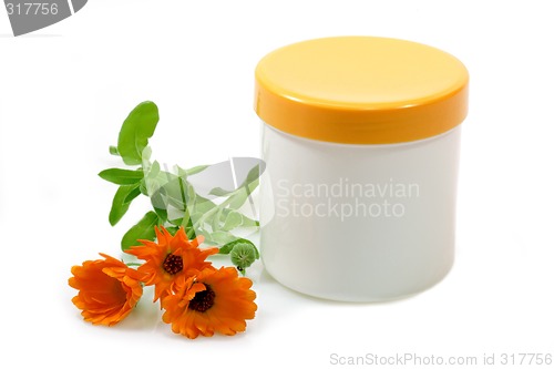 Image of Marigold Hand-Care