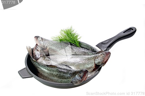 Image of Pan with trouts