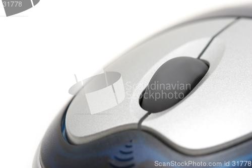Image of mouse macro