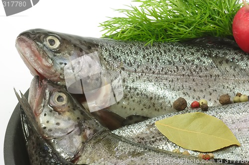 Image of Poached Trout