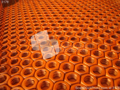 Image of Nuts