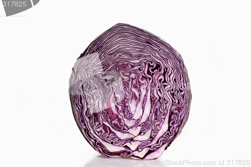 Image of Red Cabbage