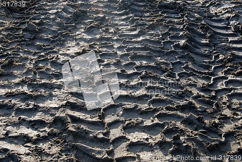 Image of Traces