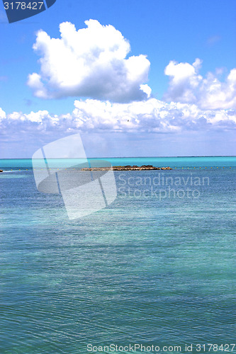 Image of wave  in mexico froath and blue  rock