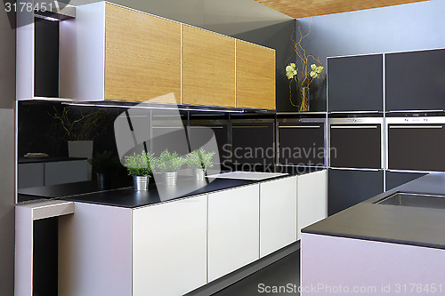 Image of Modern new kitchen