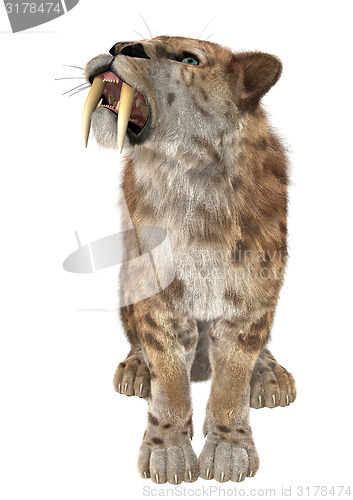 Image of Big Cat Smilodon