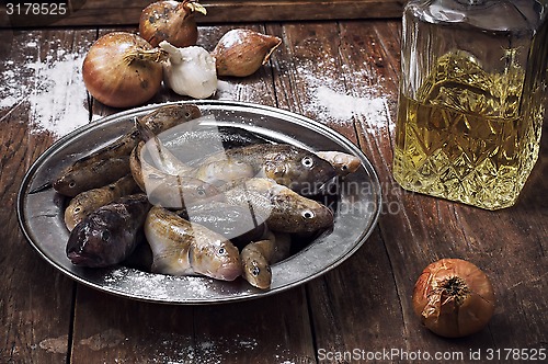 Image of raw fish on the table cooks