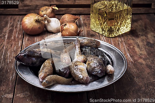 Image of catch fish breed like in the metal plate on the table before cooking