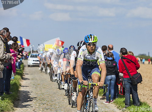 Image of The Peloton- Paris Roubaix 2014