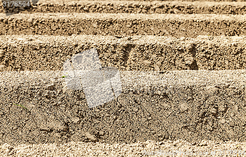 Image of Furrows Abstract