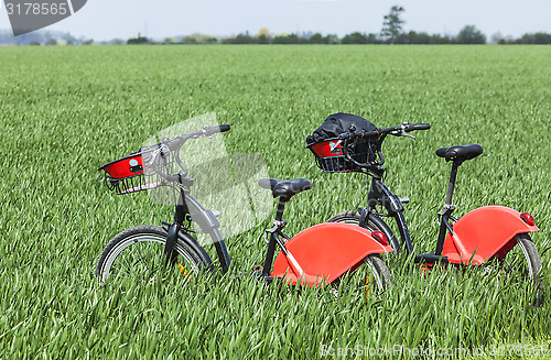 Image of Urban Bicycles in a Green Field