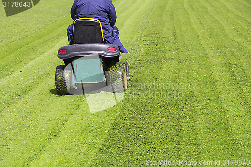 Image of Mowing the grass 