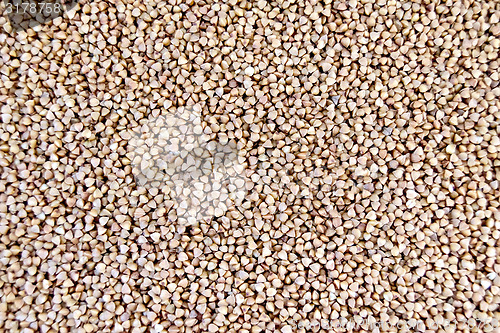 Image of Buckwheat brown texture