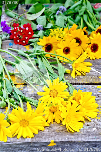 Image of Calendula yellow on older boards