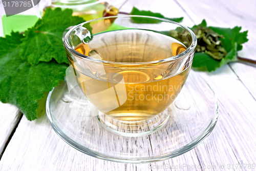 Image of Tea with sage in cup on light board