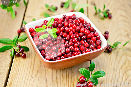 Image of Lingonberry red in bowl on board