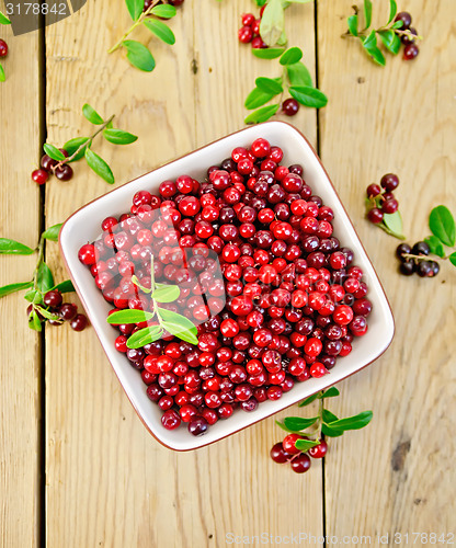 Image of Lingonberry red with leaves in bowl on board