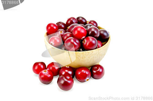 Image of Cranberries ripe in wooden bowl