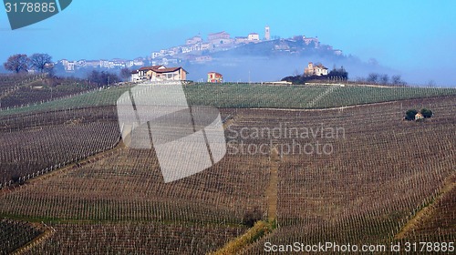 Image of Wine farm in Piemonte, Italy