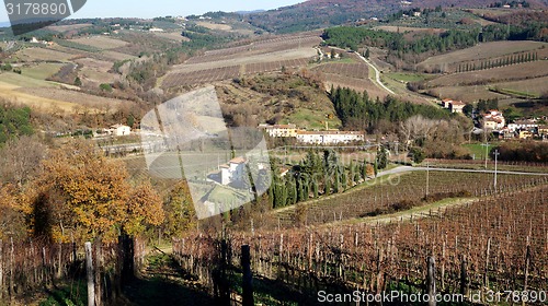 Image of \rWineyard in the winter 					