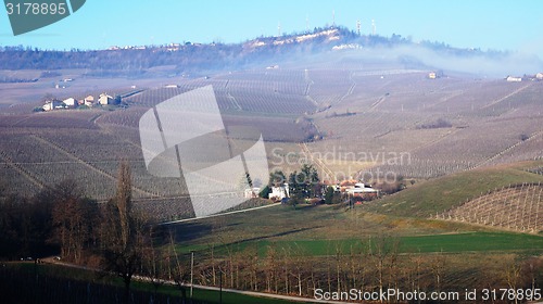 Image of Wine farm in Piemonte, Italy