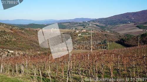 Image of \rWineyard in the winter					