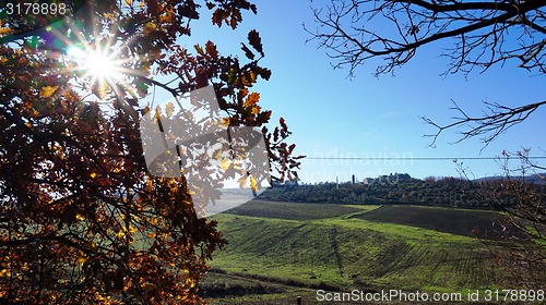 Image of \rWineyard in the winter 					