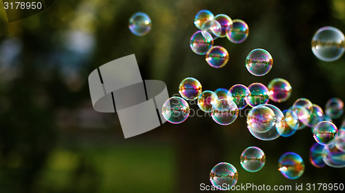 Image of Soap bubbles