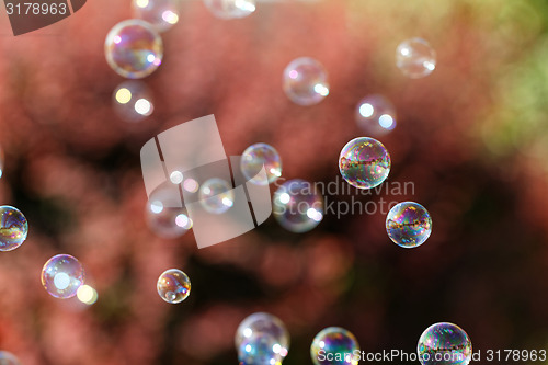 Image of Soap bubbles