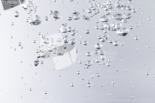 Image of Water bubbles