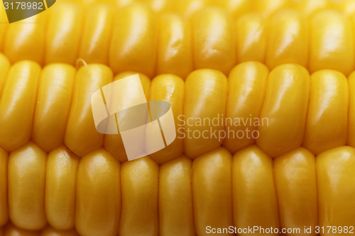 Image of Corn background