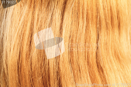Image of Blonde hair