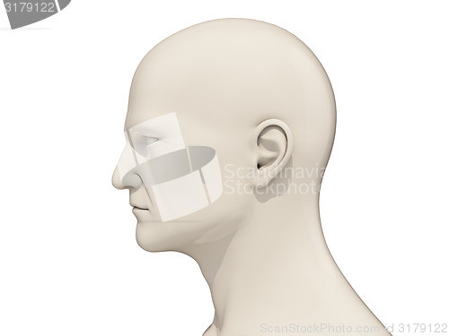 Image of Human head isolated