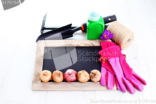 Image of gardening tools