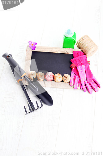 Image of gardening tools