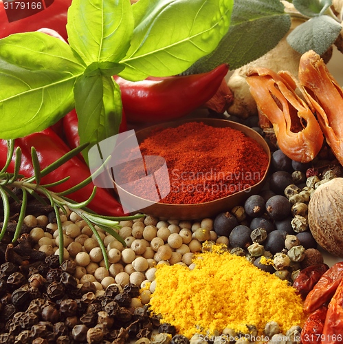 Image of Spices and herbs