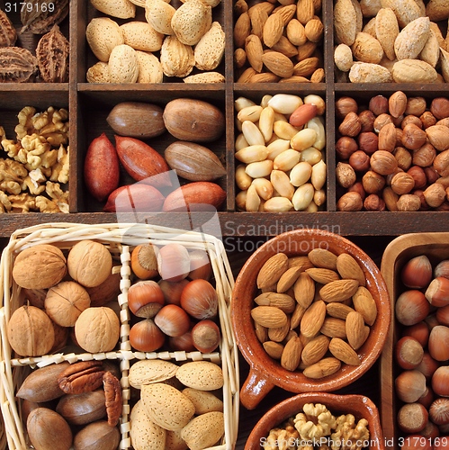 Image of Nuts.