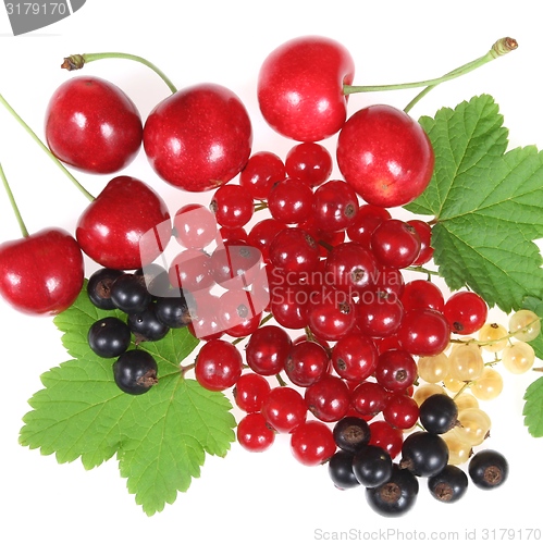 Image of Fruits.