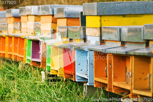 Image of Coloured beehives